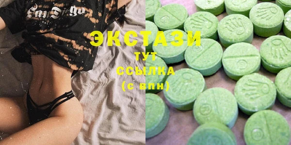 ECSTASY Богородицк